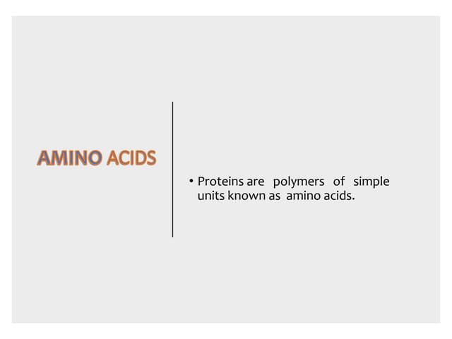 Test for Protein practical | PPTX