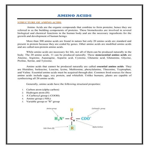 AMINO ACIDS.pdf