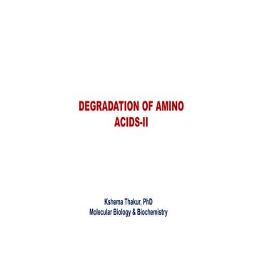 Amino acids degradation II
