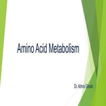 Amino acids metabolism