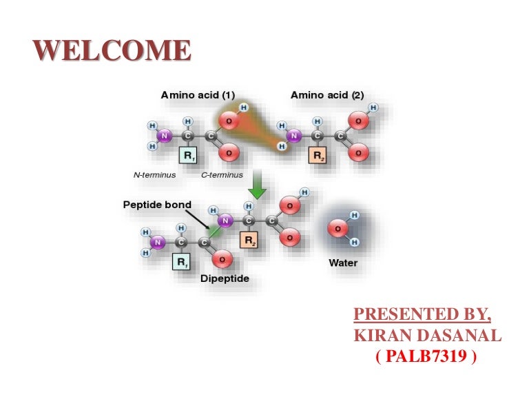 Amino acid synthesis