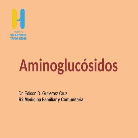 aminoglucocidos grupo de antibioticos.pptx