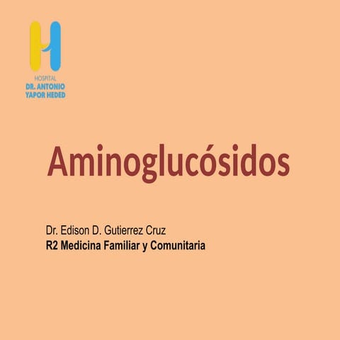 aminoglucocidos grupo de fármacos antibioticos.pptx