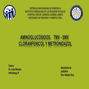Aminoglucosidos-1.pptx medicamentos al día de hoy