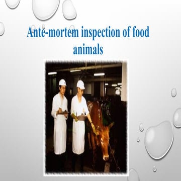 Ante-mortem-Examination-1.ppt