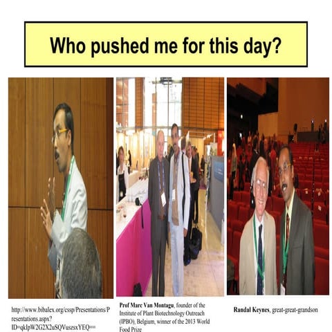 Is there anything wrong with genetically modified crops?