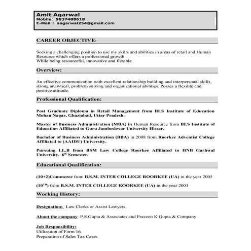 Amit law resume