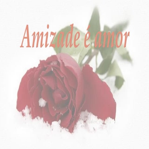 Amizade e amor