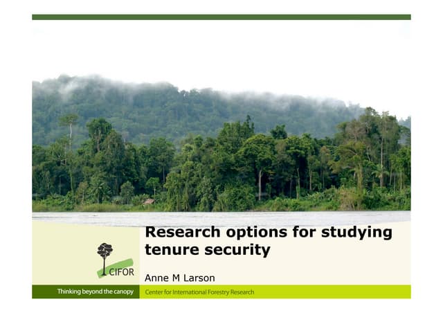 Research options for studying tenure security