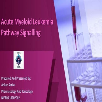 ACUTE MYELOID LEUKEMIA SIGNALLING