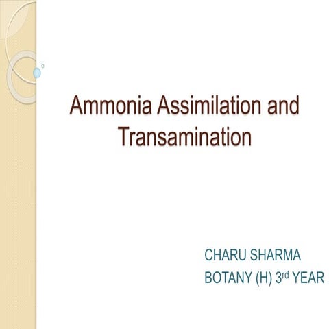 Ammonia assimilation and transamination