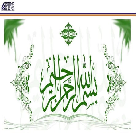 Amm plant description