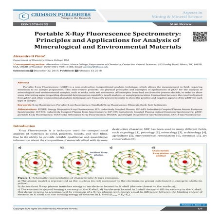 Portable X-Ray Fluorescence Spectrometry: Principles and Applications for Ana...