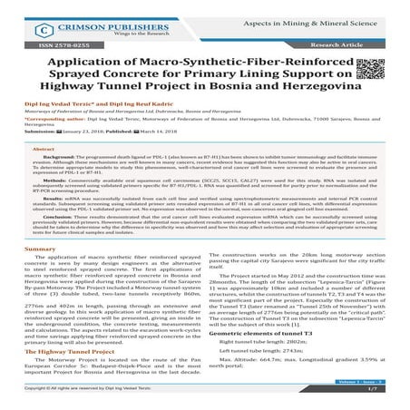 Application of Macro-Synthetic-Fiber-Reinforced Sprayed Concrete for Primary Lining Support on Highway Tunnel Project in Bosnia and Herzegovi-Crimson Publishers