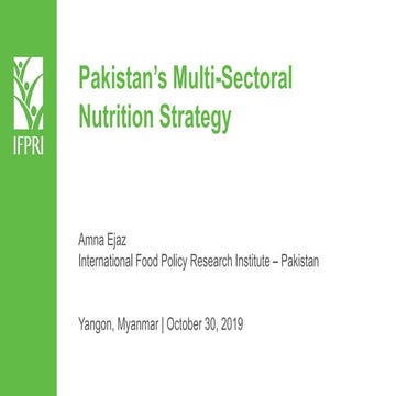 Pakistan’s Multi-Sectoral Nutrition Strategy 