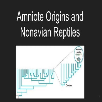 Amniote origins and nonavian reptiles