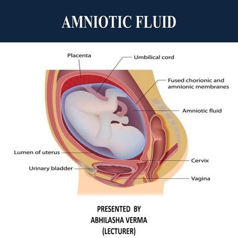 Amniotic fluid
