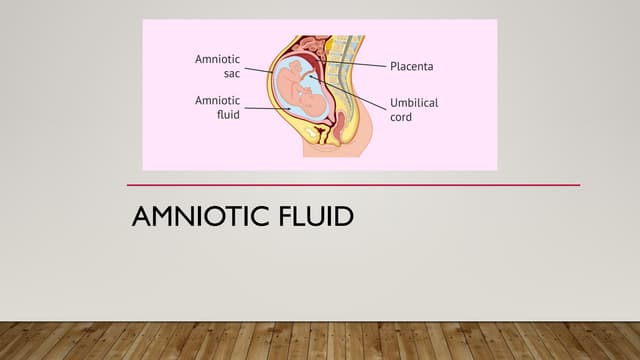 Fetal Membranes, Amniotic Cavity and Amniotic Fluid | PPTX