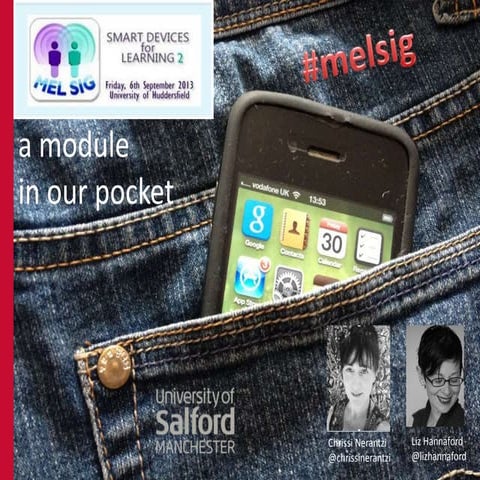 A module in our pocket, MELSIG contribution 6 Sep 2013 with Liz Hannaford