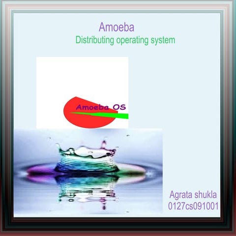 Amoeba