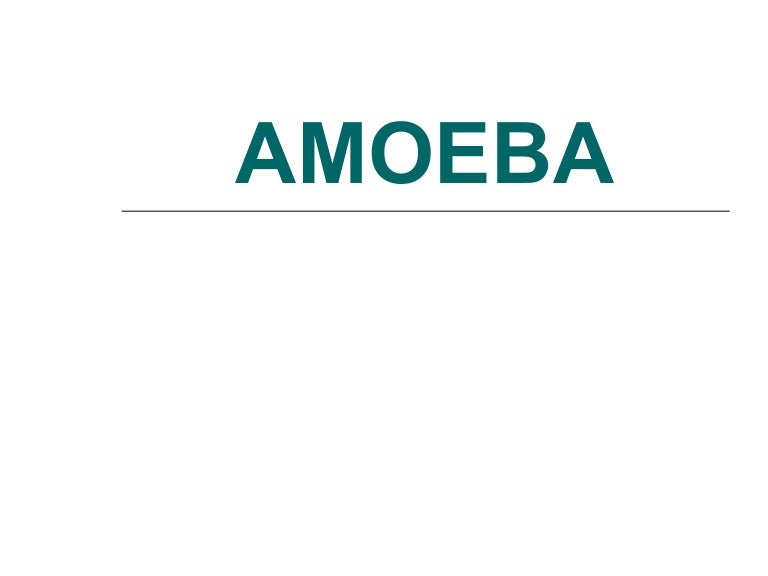 Amoeba