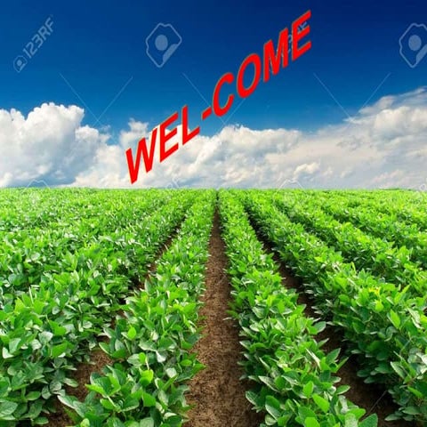 Response of micronutrient application in soybean under Indian condition