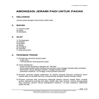 Amonisasi jerami padi_pakan