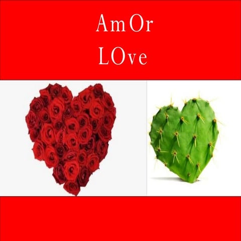 Amor Love