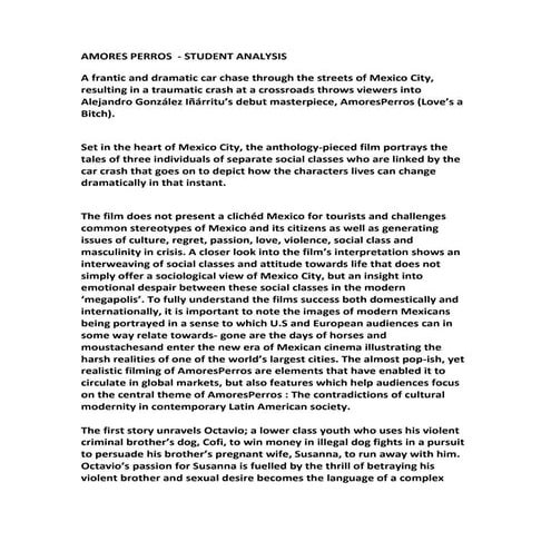 Amores perro sanalysis