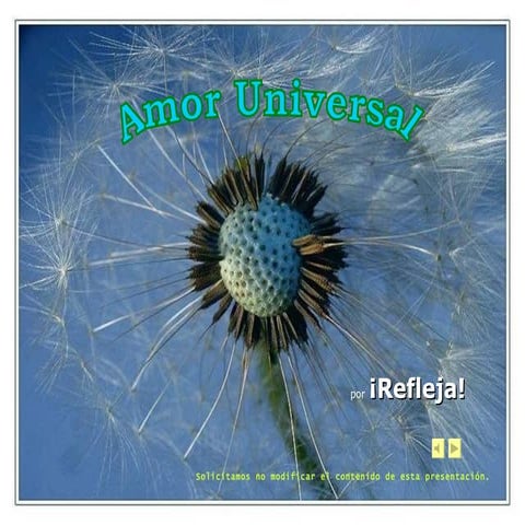 Amor Universal