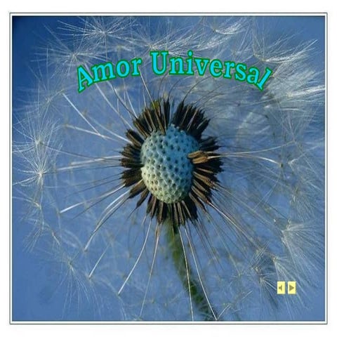Amor Universal