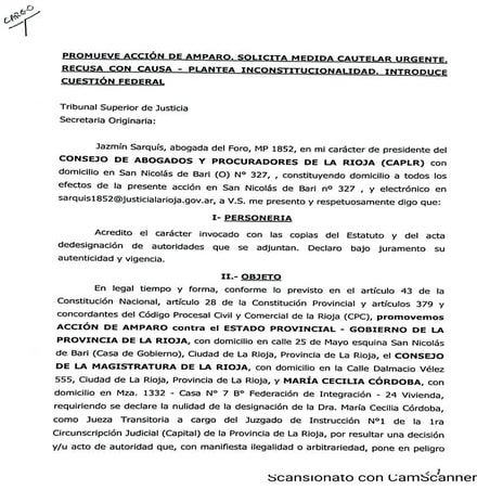 Amparo del Consejo de Abogados contra Cecilia Córdoba