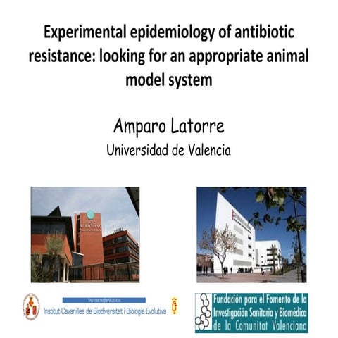 Amparo Latorre - Simposio Microbiología: Transmisión