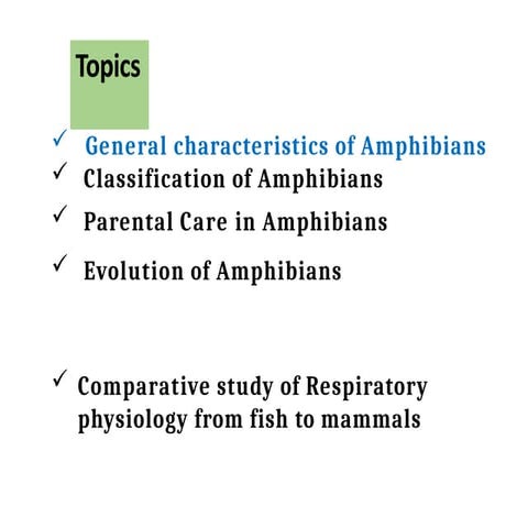 Amphibia --General characteristics .pptx