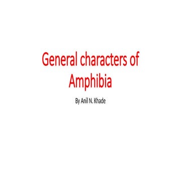 Comprehensive Overview of Amphibia: Characteristics, Habitat, and Life ...