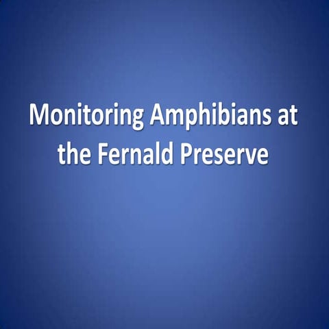 Amphibian Monitoring