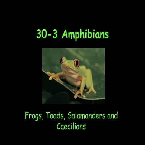 Amphibians