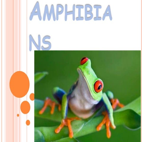Amphibians