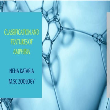 Amphibians (Vertebrates)