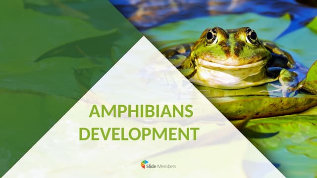Metamorphosis in insects ppt.pptx