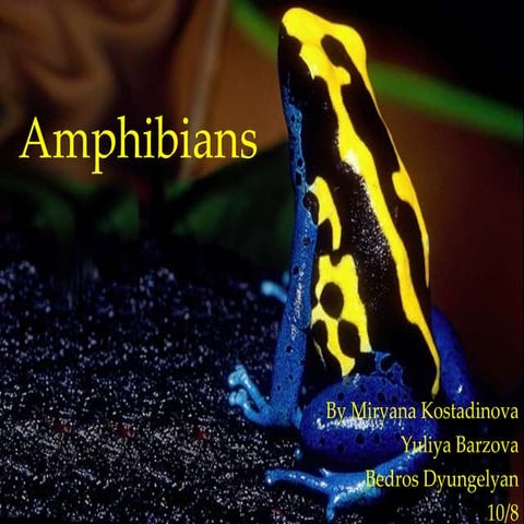 Amphibians 10-8 miryana bedros yuliya