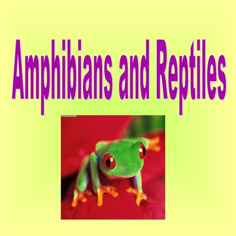 Amphibians and reptiles