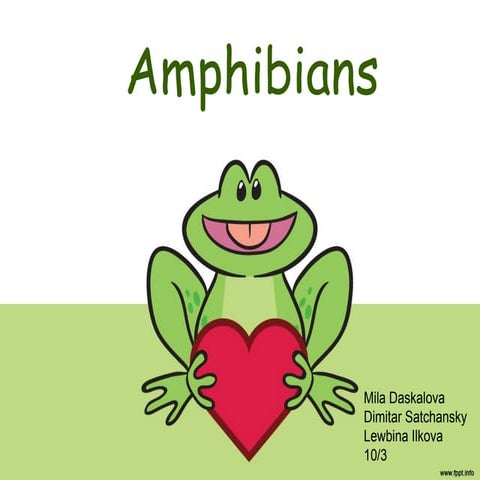 Amphibians ppt 1-1 10-3 mila satchansky lewbina