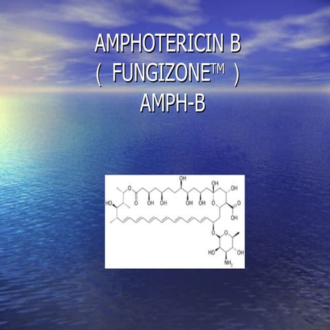 Amphotericin b