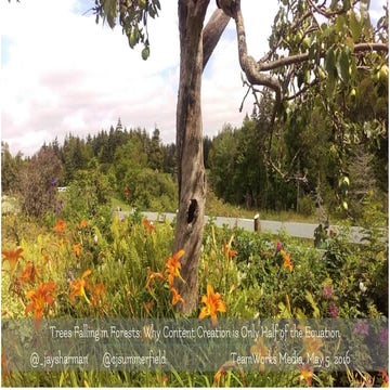 Webinar | Trees Falling in Forests: Why Content Creation is Only Half of the ...