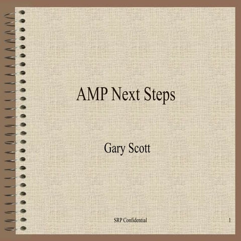 AMP Next Steps