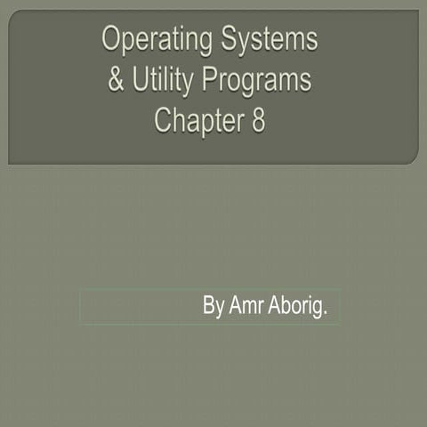 Amr Chap 08 Operating Systems & Utility Programs