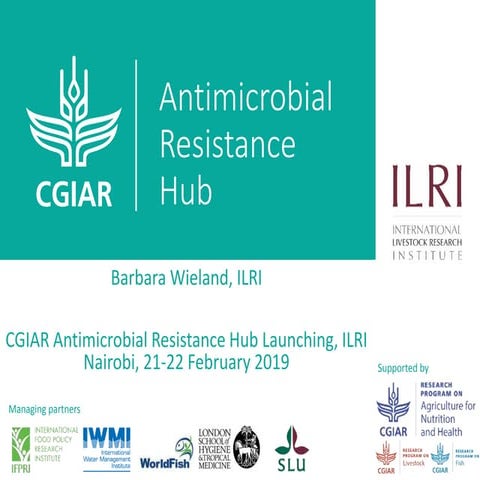 Antimicrobial Resistance Hub 