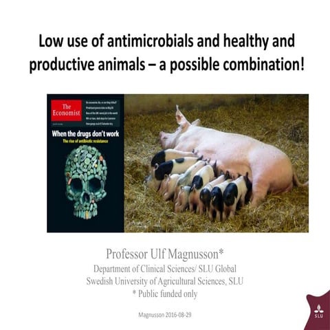 Low use of antimicrobials and healthy productive animals – a possible equation?