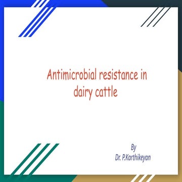 Antimicrobial resistance in dairy cattle